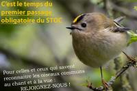 actu 18